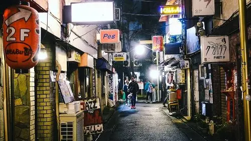 Tokyo Walking Tour with Licensed Guide Shinjuku Day Tours in Tokyo