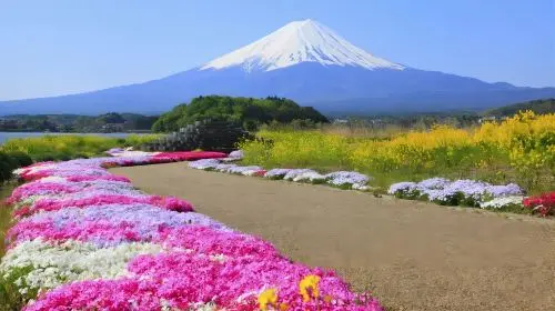 [KABA Amphibious Bus Ticket Included] Tokyo Twin Lakes Kawaguchi and Yamanaka Day Trip | Hotel Pick-up Optional Day Tours in Tokyo - Photo 3