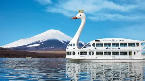 [KABA Amphibious Bus Ticket Included] Tokyo Twin Lakes Kawaguchi and Yamanaka Day Trip | Hotel Pick-up Optional Day Tours in Tokyo - Photo 7