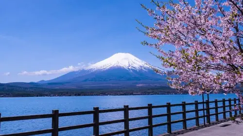 [KABA Amphibious Bus Ticket Included] Tokyo Twin Lakes Kawaguchi and Yamanaka Day Trip | Hotel Pick-up Optional Day Tours in Tokyo - Photo 2