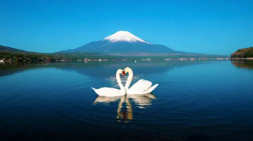 [KABA Amphibious Bus Ticket Included] Tokyo Twin Lakes Kawaguchi and Yamanaka Day Trip | Hotel Pick-up Optional Day Tours in Tokyo - Photo 8