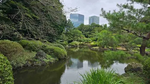 Shinjuku Gyoen National Garden Shinjuku Gyoen National Garden in Tokyo - Photo 2