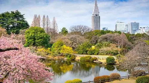 Shinjuku Gyoen National Garden Shinjuku Gyoen National Garden in Tokyo - Photo 5