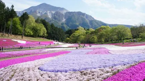 [Official Ticket] Seibu 1-Day Pass (Optional Nagatoro/Seibu Kawagoe Pass Package~Depart from Ikebukuro to Tokyo and Saitama, explore the charming scenery of Kawagoe and Chichibu) Transport Passes in Tokyo - Photo 6