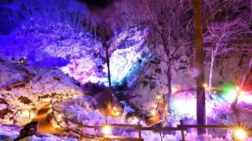 [Official Ticket] Seibu 1-Day Pass (Optional Nagatoro/Seibu Kawagoe Pass Package~Depart from Ikebukuro to Tokyo and Saitama, explore the charming scenery of Kawagoe and Chichibu) Transport Passes in Tokyo - Photo 7