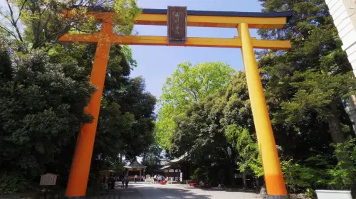 [Official Ticket] Seibu 1-Day Pass (Optional Nagatoro/Seibu Kawagoe Pass Package~Depart from Ikebukuro to Tokyo and Saitama, explore the charming scenery of Kawagoe and Chichibu) Transport Passes in Tokyo - Photo 2