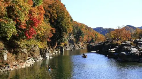 [Official Ticket] Seibu 1-Day Pass (Optional Nagatoro/Seibu Kawagoe Pass Package~Depart from Ikebukuro to Tokyo and Saitama, explore the charming scenery of Kawagoe and Chichibu) Transport Passes in Tokyo - Photo 8