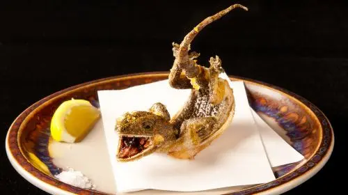 [Kome to Circus Shibuya PARCO branch] Rare ingredient package meal voucher - choose one in Tokyo - Photo 7