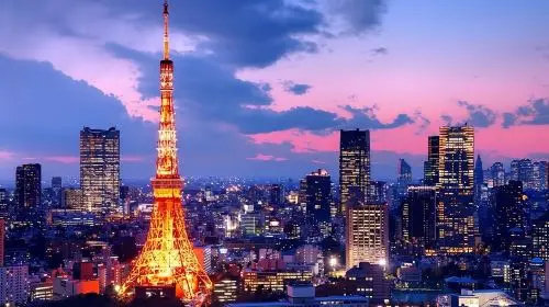 Tokyo Private Tour by Car with English speaking driver Day Tours in Tokyo - Photo 5