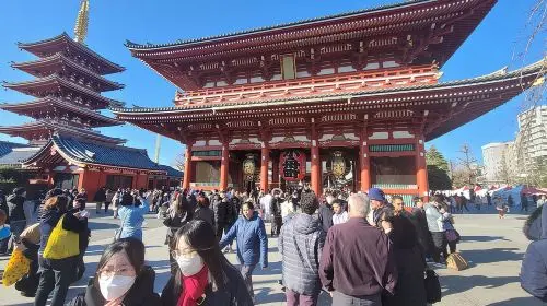 Tokyo Private Tour by Car with English speaking driver Day Tours in Tokyo - Photo 3