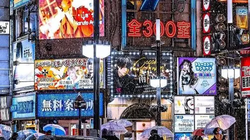 Best of Tokyo Private Tour English Driver &Customizable Itinerary Day Tours in Tokyo - Photo 8