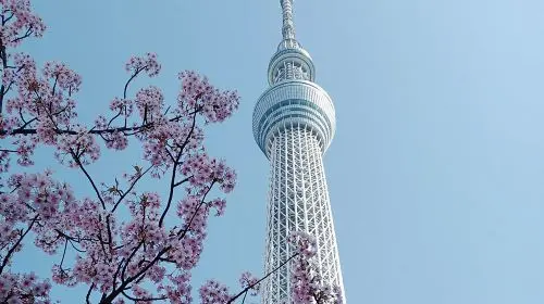 Best of Tokyo Private Tour English Driver &Customizable Itinerary Day Tours in Tokyo