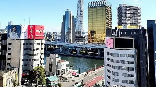 Best of Tokyo Private Tour English Driver &Customizable Itinerary Day Tours in Tokyo - Photo 9