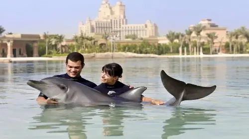 Dubai Dolphin Bay Atlantis Aquaventure in Dubai