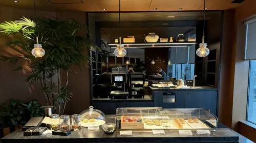 Japan airport/Tokyo Haneda airport lounge pass VIP lounge access HND Japan Haneda airport VIP lounge in Tokyo - Photo 8