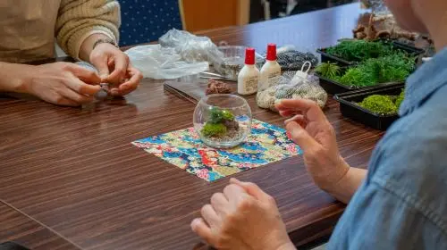 [Asakusa Jusen-in] Create your own mini Japanese garden | Moss art crafting experience in Tokyo