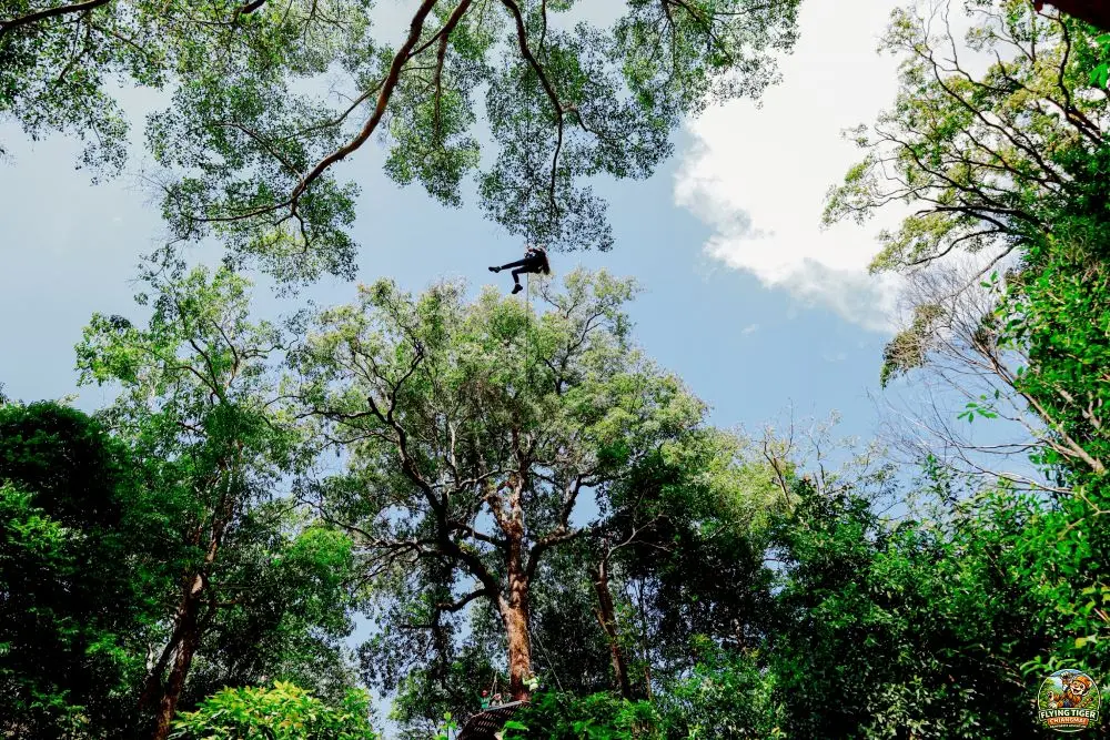 Flying Tiger Zipline Chiang Mai in Chiang Mai
