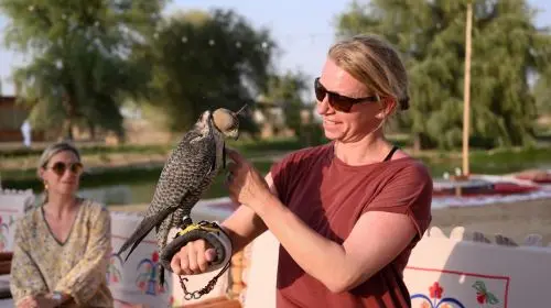 Dubai Desert Safari Camp in Dubai