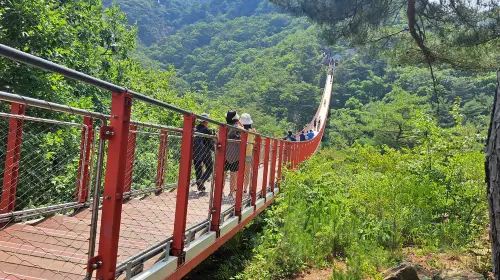 DMZ Tour with Optional Gondola and Suspension Bridge Day Tours in Seoul - Photo 6