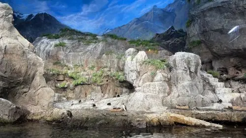 SeaWorld® Yas Island SeaWorld® Yas Island in Abu Dhabi - Photo 4
