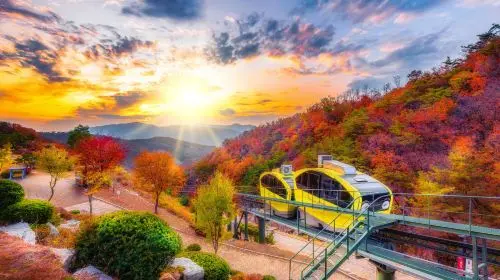 Hantangang UNESCO Geopark & Pocheon Highlights Tour from Seoul (Y-Bridge, Pink Sand, Art Valley) in Seoul - Photo 3