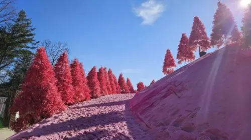 Hantangang UNESCO Geopark & Pocheon Highlights Tour from Seoul (Y-Bridge, Pink Sand, Art Valley) in Seoul - Photo 4