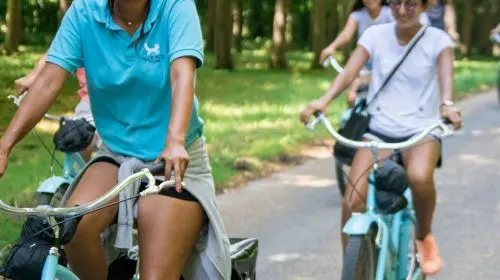 Palace of Versailles: Trianon Estate Access + Bike Tour Day Tours in Paris - Photo 8