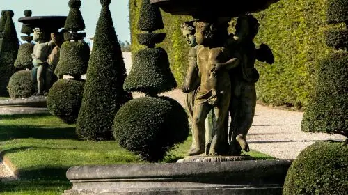Palace of Versailles: Musical Gardens Show Ticket (Adult ticket) in Paris