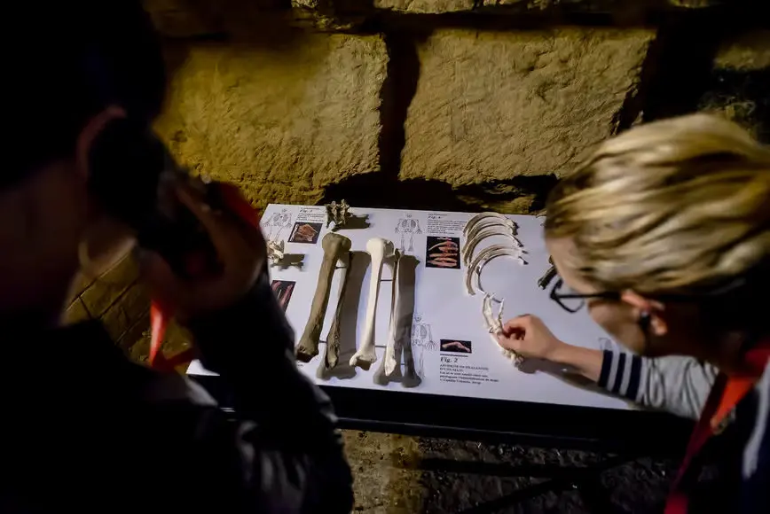 Paris: Catacombs Entry Ticket and Audio Guide in Paris