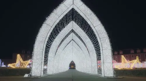 Kobe Illuminage in Tokyo - Photo 4