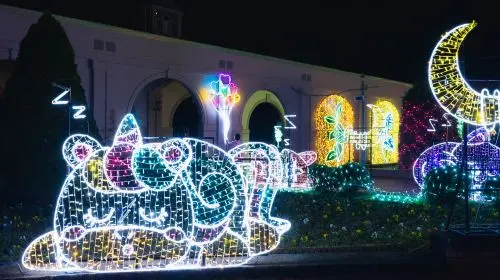 Kobe Illuminage in Tokyo - Photo 5