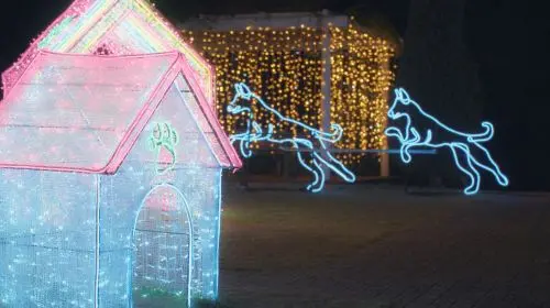 Kobe Illuminage in Tokyo - Photo 8