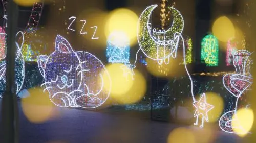 Kobe Illuminage in Tokyo - Photo 2