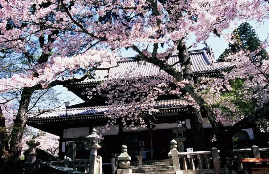 JR Setouchi Area Pass 7-Day (e-ticket) JR Setouchi Area Pass 7-Day (e-ticket) in Tokyo - Photo 4