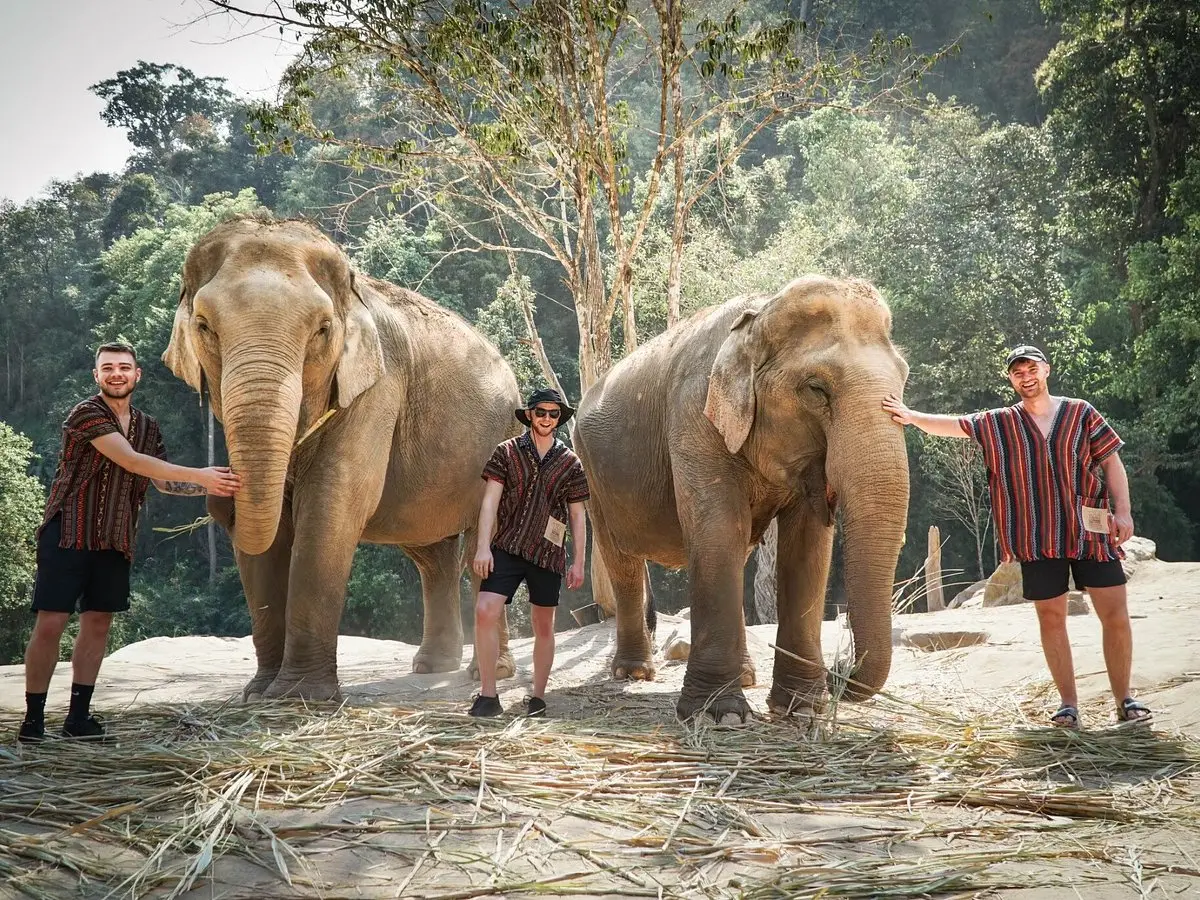 Elephant Jungle Sanctuary - Chiang Mai - Photo 3