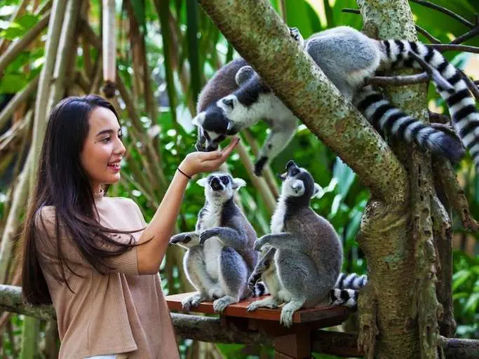Bali Zoo for Indonesian ID/KITAS Holder in Bali