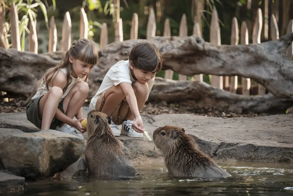 Bali Zoo for Indonesian ID/KITAS Holder Bali Zoo for Indonesian ID/KITAS Holder in Bali - Photo 8