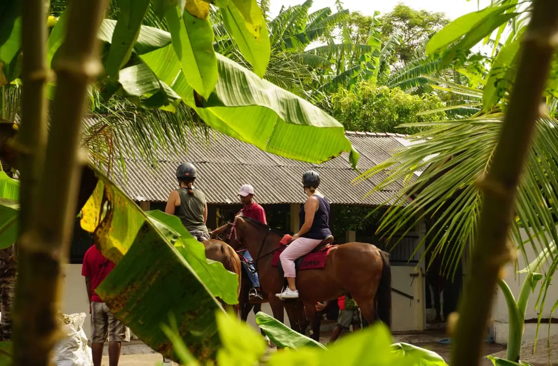 Horse Riding Experience in Bali Horse Riding Experience in Bali - Photo 3