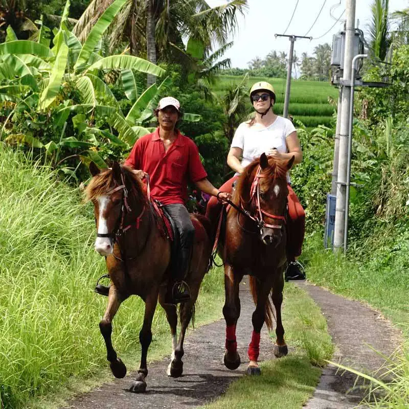 Horse Riding Experience in Bali Horse Riding Experience in Bali - Photo 4