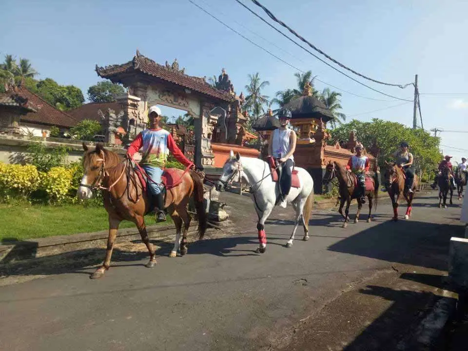 Horse Riding Experience in Bali Horse Riding Experience in Bali - Photo 5
