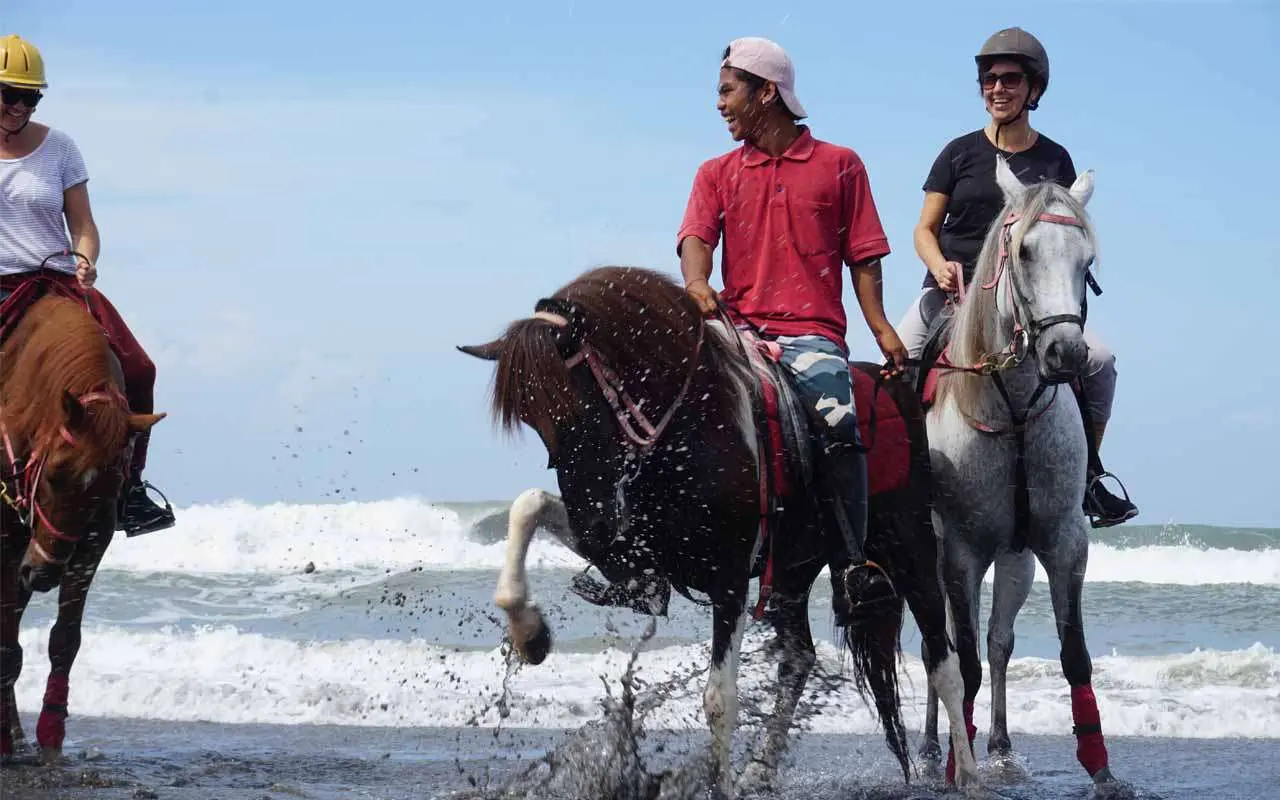Horse Riding Experience in Bali Horse Riding Experience in Bali - Photo 6