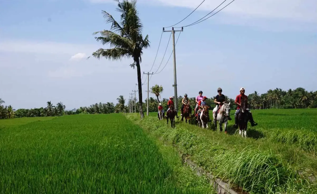 Horse Riding Experience in Bali Horse Riding Experience in Bali - Photo 7