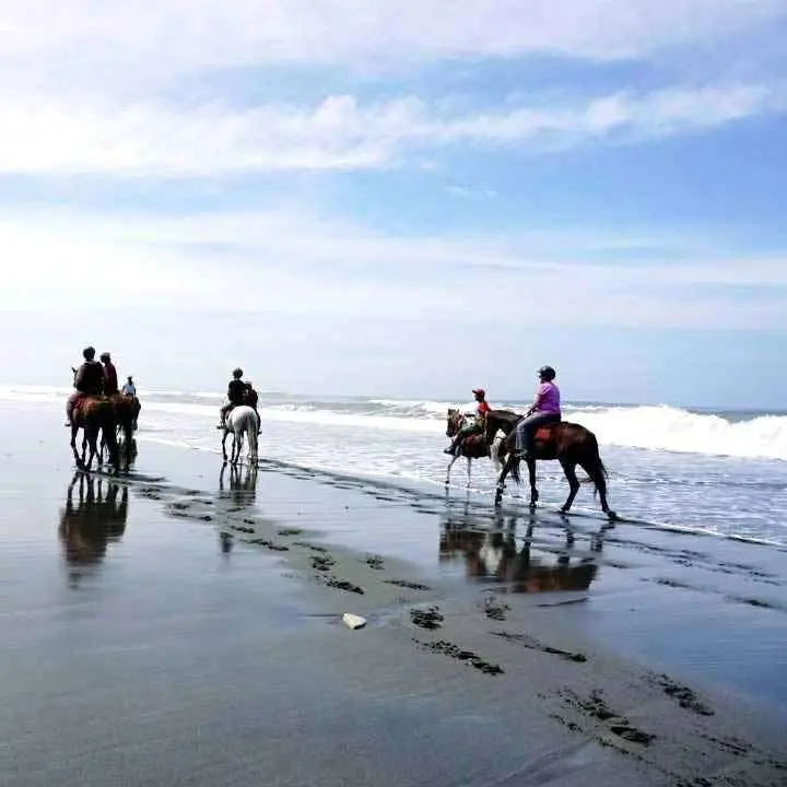 Horse Riding Experience in Bali Horse Riding Experience in Bali - Photo 8