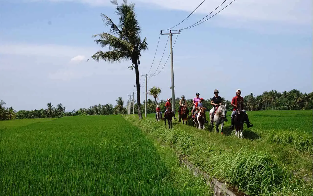 Horse Riding Experience in Bali Horse Riding Experience in Bali - Photo 9