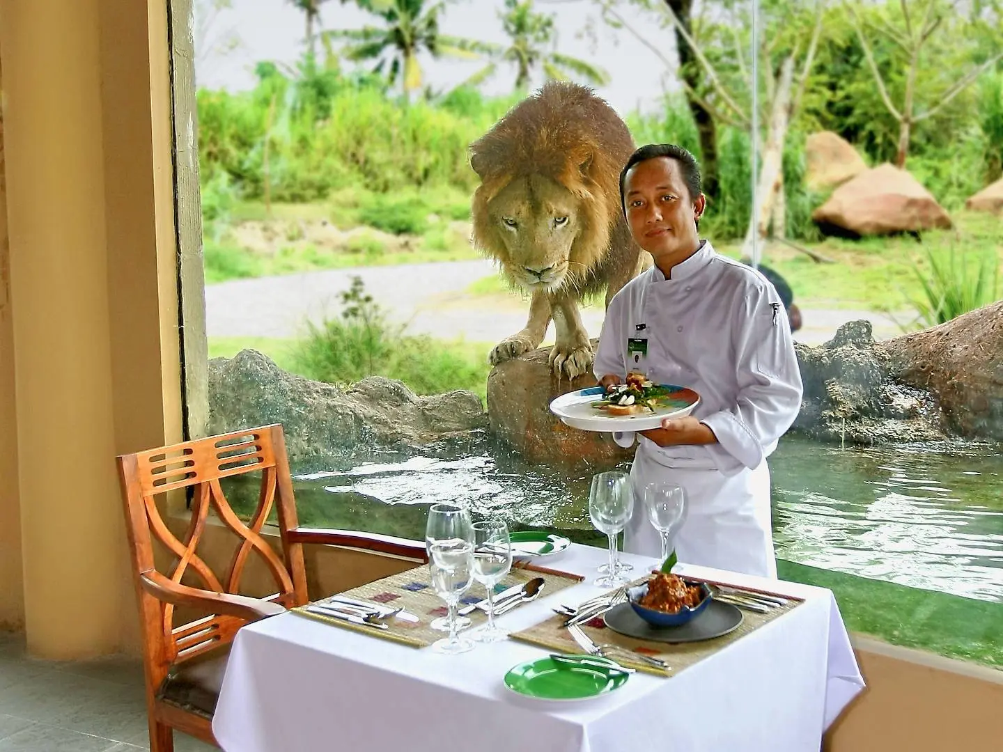 Bali Safari for Non-Indonesian ID Holder Bali Safari for Non-Indonesian ID Holder in Bali - Photo 4