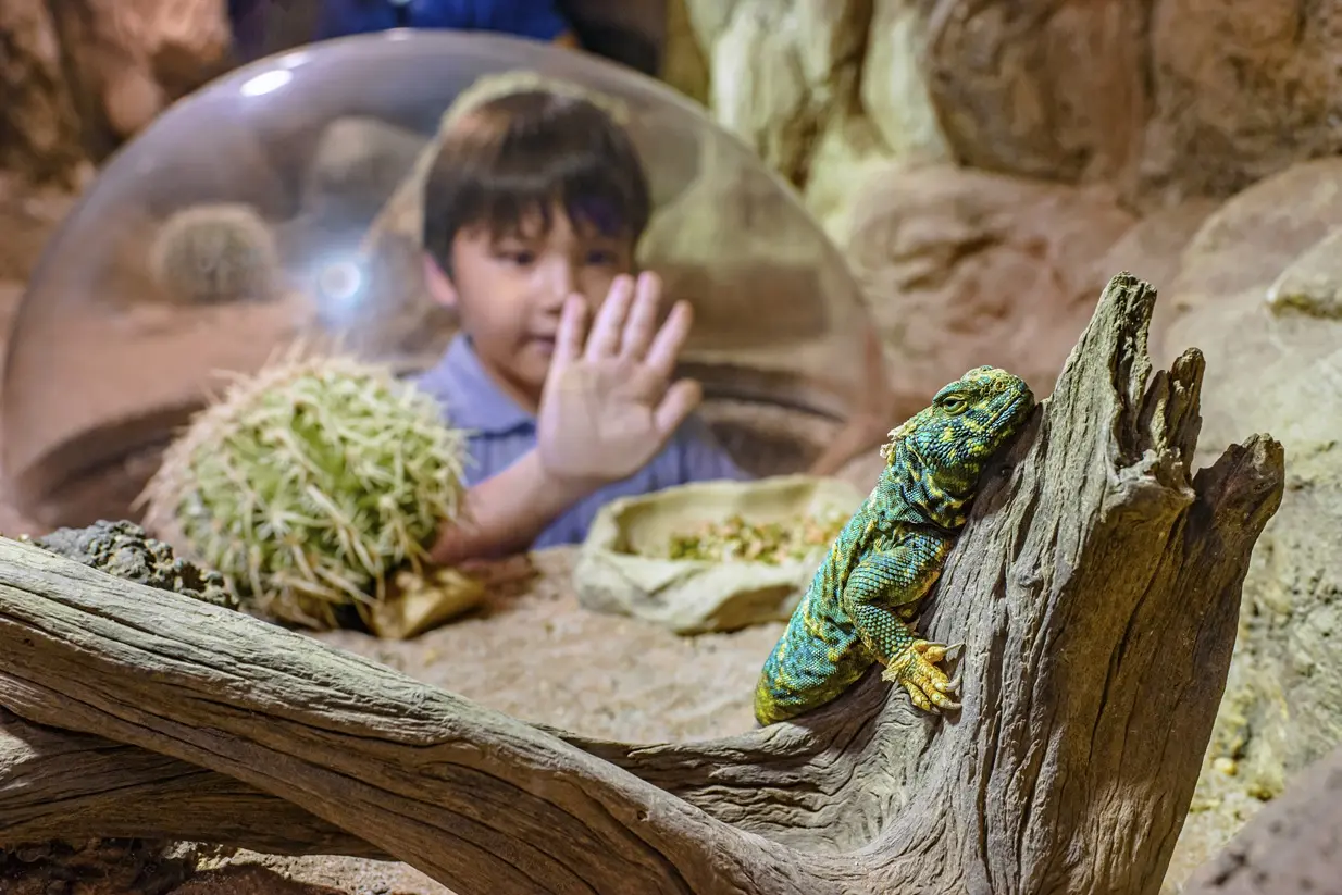 Singapore Zoo in Singapore - Photo 2