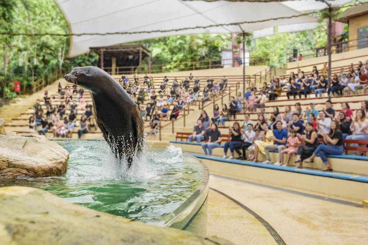 Singapore Zoo in Singapore - Photo 3