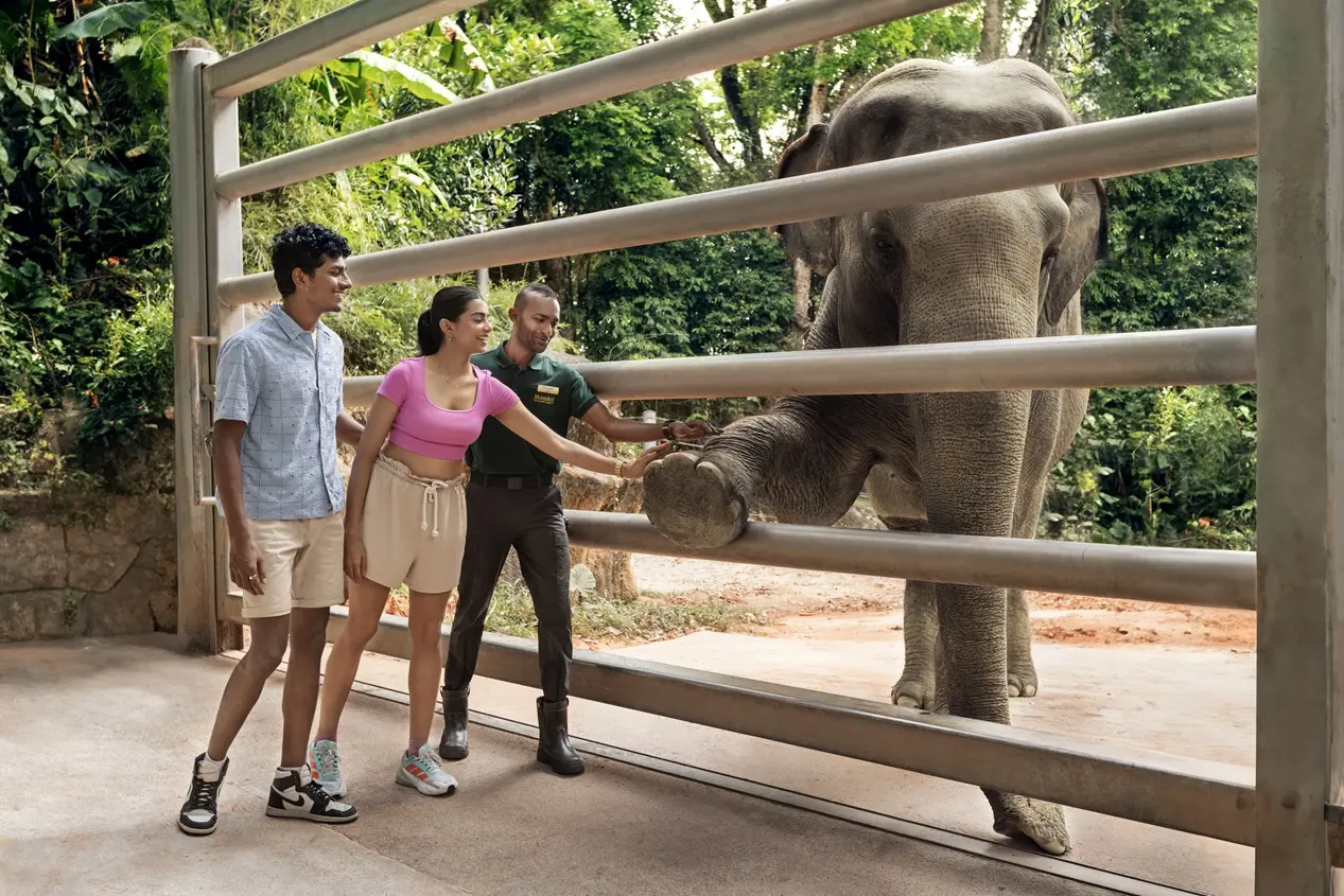 Singapore Zoo in Singapore - Photo 6