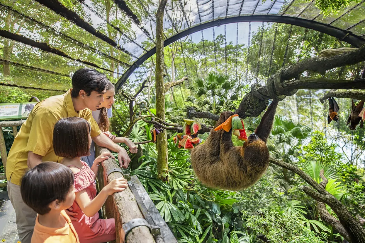 Singapore Zoo in Singapore - Photo 10