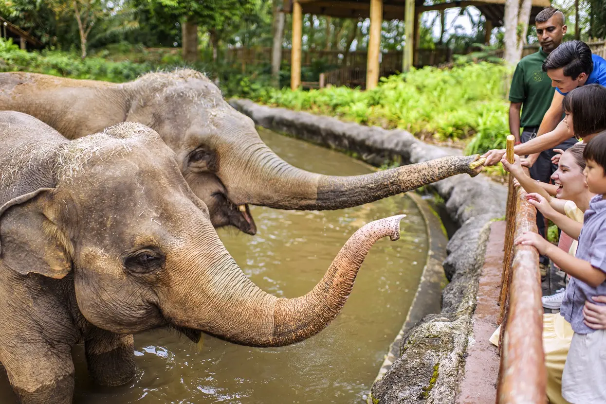 Singapore Zoo in Singapore - Photo 11